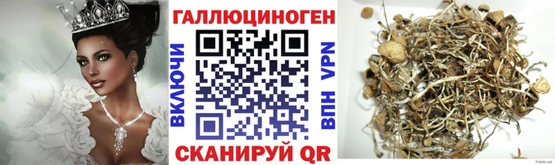 купить   Севск  Галлюциногенные грибы ЛСД 